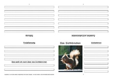 Eichhörnchen-Faltbuch-Steckbrief-vierseitig-2.pdf